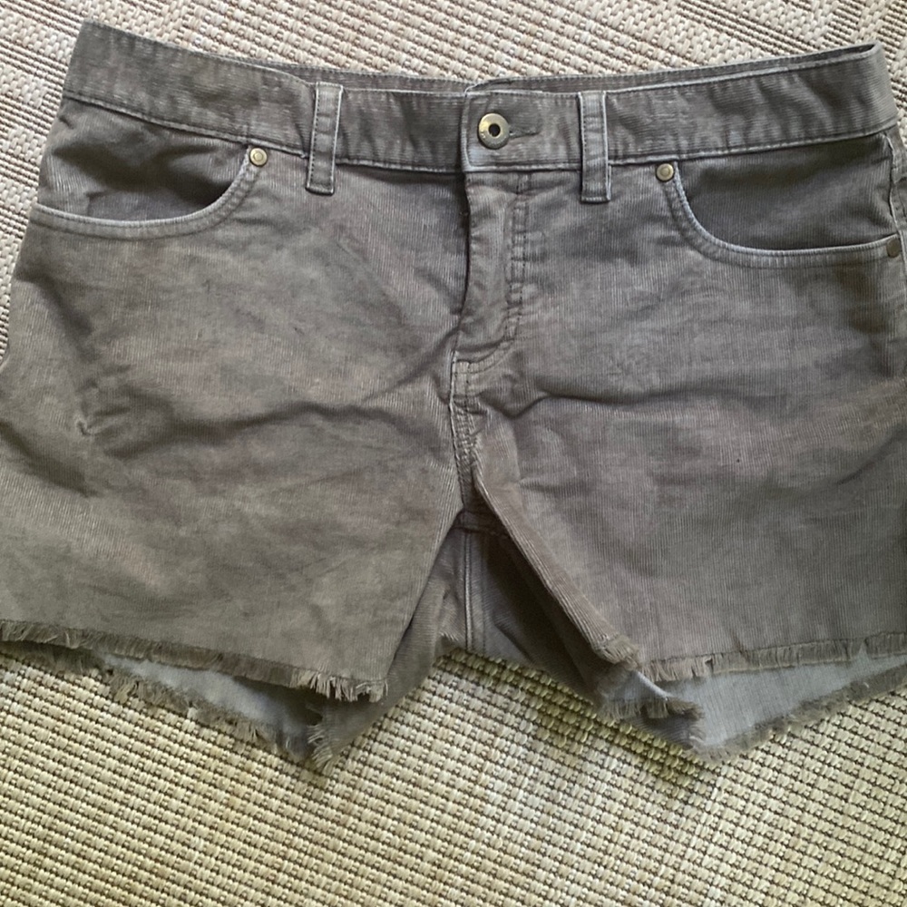 Carve designs courderoy shorts taupe 6